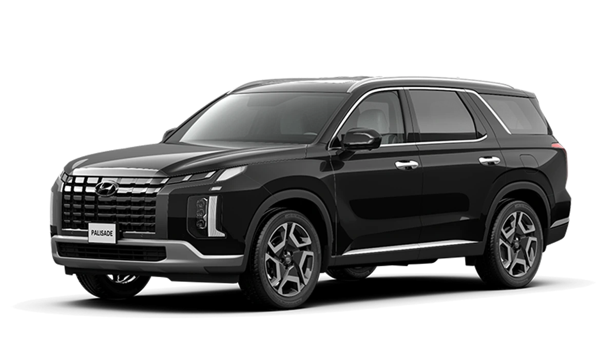 Hyundai Palisade An Giang